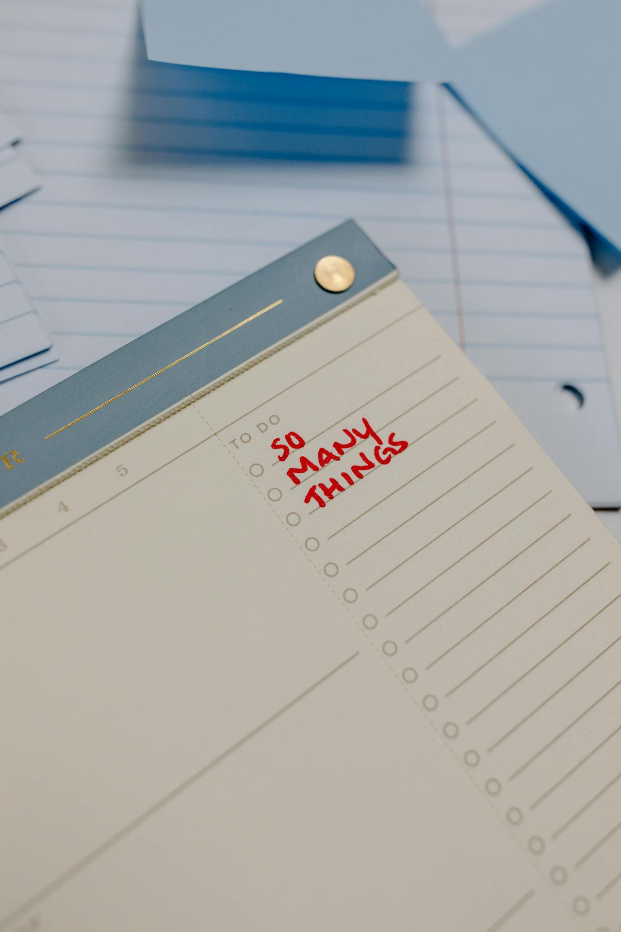 Checklist Vacances avec votre Animal de Compagnie : Pr&eacute;parer un Voyage Sans Stress