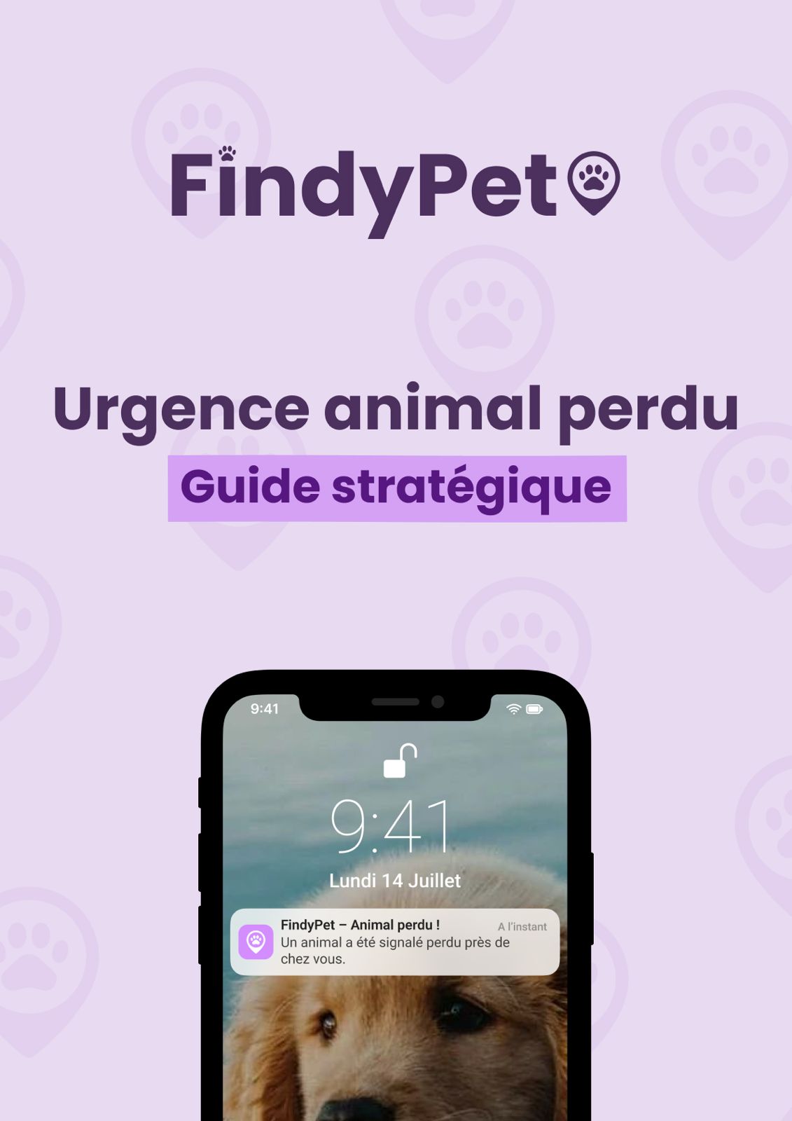 Guide FindyPet : Mon animal est perdu